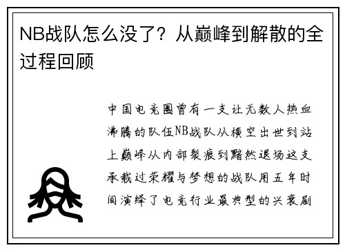 NB战队怎么没了？从巅峰到解散的全过程回顾